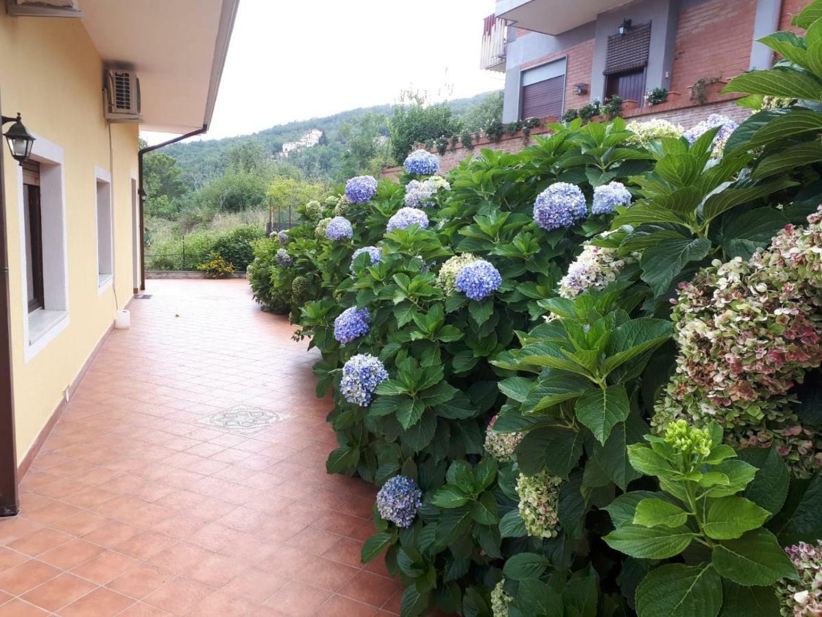 La Casa Dei Colori Villa Zafferana Etnea Esterno foto