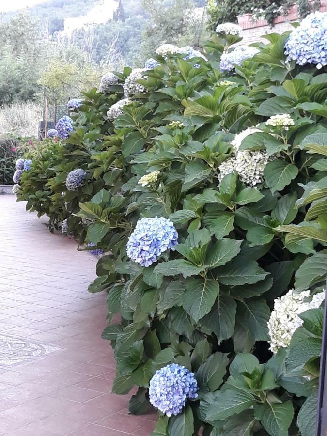 La Casa Dei Colori Villa Zafferana Etnea Esterno foto